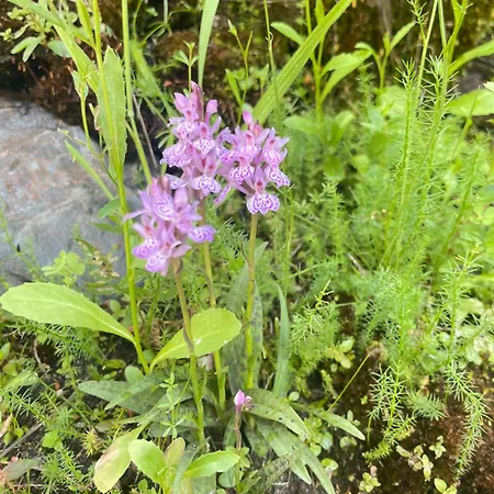 Marcajada Lejlighed Riaza