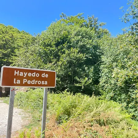 Marcajada Lejlighed *