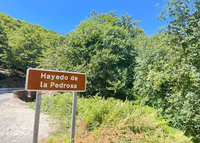 Marcajada דירה *